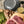 Steak Bed - Steak Sizzler Quartet