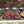 Steak Bed - Steak Sizzler Quartet