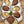 Le Petite Oyster Serving Plate